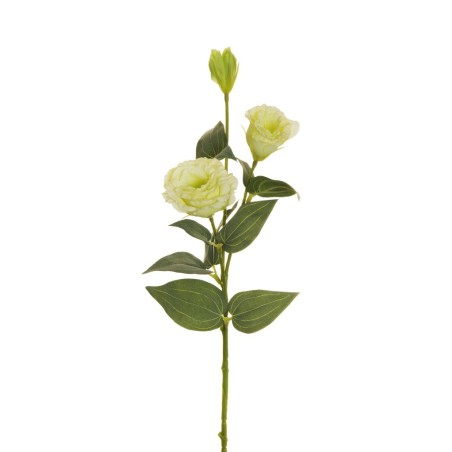 Lot de 36 - Tige artificielle de lisianthus floquée X2, 71 cm - vert clair 