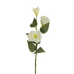 Lot de 36 - Tige artificielle de lisianthus floquée X2, 71 cm - crème 