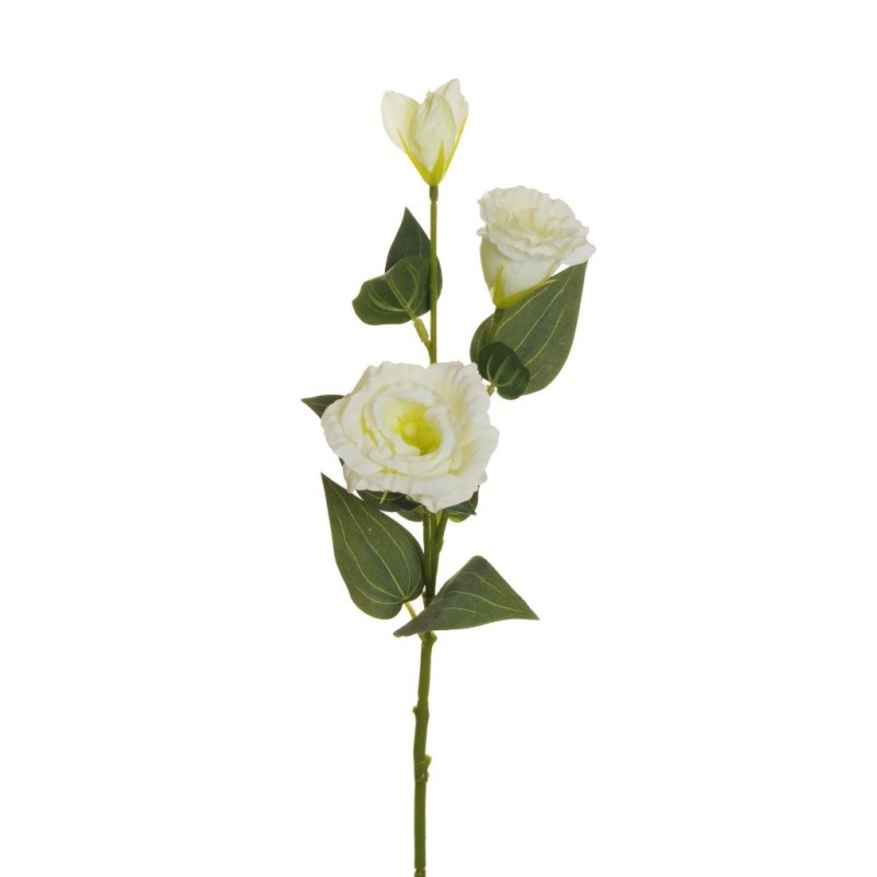 Lot de 36 - Tige artificielle de lisianthus floquée X2, 71 cm - crème 
