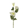 Lot de 36 - Tige artificielle de lisianthus floquée X2, 71 cm - crème 