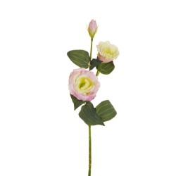 Lot de 36 - Tige artificielle de lisianthus floquée X2, 71 cm - rose crème 