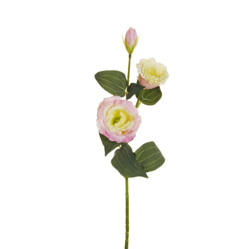 Lot de 36 - Tige artificielle de lisianthus floquée X2, 71 cm - rose crème 