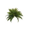 Lot de 6 - Buisson artificiel de fougère de Boston, 60 cm - vert 