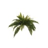 Lot de 6 - Buisson artificiel de fougère de Boston, 60 cm - vert 