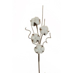 Lot de 24 - Tige artificielle de coton naturel, 43,5 cm - blanc 