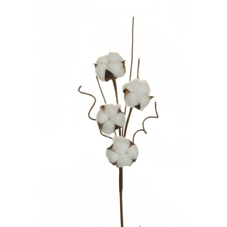 Lot de 24 - Tige artificielle de coton naturel, 43,5 cm - blanc 