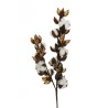 Lot de 12 - Tige artificielle de coton naturel, 68 cm - blanc 