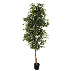 Lot de 4 - Plante artificielle de ficus benjamin en pot, 210 cm - panaché 