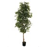 Lot de 4 - Plante artificielle de ficus benjamin en pot, 210 cm - panaché 