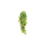 Lot de 12 - Grappe artificielle de raisins ronds X50, 18 cm - vert 