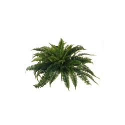 Lot de 6 - Buisson artificiel de fougère de Boston, 66 cm - vert 