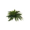 Lot de 6 - Buisson artificiel de fougère de Boston, 66 cm - vert 