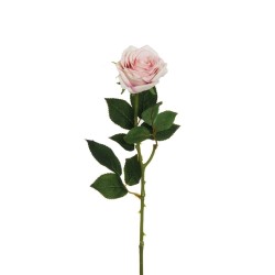 Lot de 24 - Rose Equateur artificielle, 65 cm - crème rose 