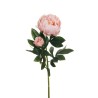 Lot de 12 - Tige artificielle de pivoine X2, 66 cm - rose ancien 