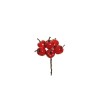 Lot de 48 - Bouquet pic artificiel de petites pommes X6, 12 cm - rouge 