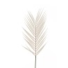 Lot de 36 - Feuille artificielle de palmier areca floquée, 68 cm - blanc 