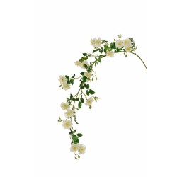 Lot de 6 - Branche suspendue artificielle de rose sauvage, 153 cm - crème 