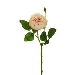 Lot de 24 - Tige artificielle de rose Chinensis X2, 75 cm - vert clair fuchsia 
