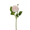 Lot de 24 - Tige artificielle de rose Chinensis X2, 75 cm - blanc fuchsia 