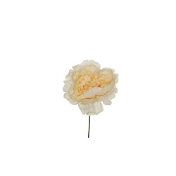 Lot de 36 - Tête artificielle de pivoine, D. 14 cm - ivoire 