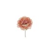 Lot de 36 - Tête artificielle de pivoine, D. 14 cm - mauve crème 