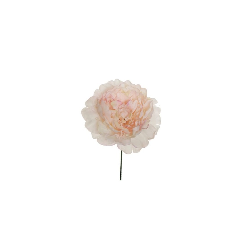 Lot de 36 - Tête artificielle de pivoine, D. 14 cm - rose clair crème 