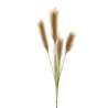 Lot de 24 - Branche artificielle de pampa X4, 135 cm - marron clair 