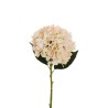 Lot de 12 - Hortensia artificiel Juliette, 50 cm - crème rose ancien 