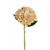 Lot de 12 - Hortensia artificiel Juliette, 50 cm - marron clair crème 