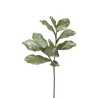 Lot de 24 - Tige artificielle de feuilles de magnolia métallisées X2, 78 cm - vert clair 