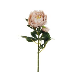 Lot de 12 - Tige artificielle de pivoine X2, 66 cm - rose ancien clair 