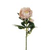 Lot de 12 - Tige artificielle de pivoine X2, 66 cm - rose ancien clair 
