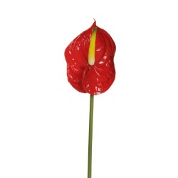 Lot de 24 - Anthurium artificiel, 69 cm - rouge 