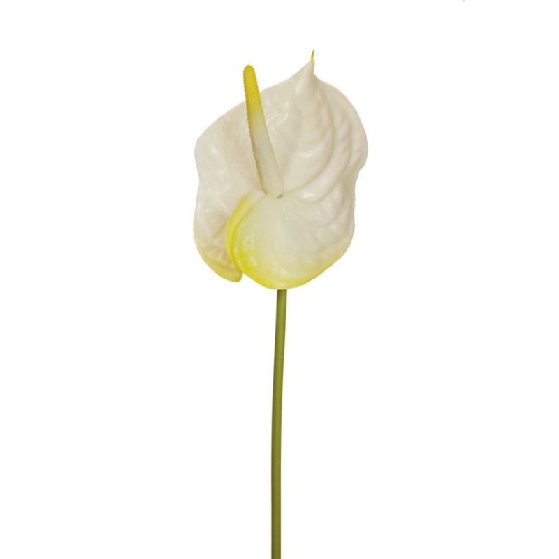 Lot de 24 - Anthurium artificiel, 69 cm - blanc jaune 