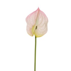 Lot de 24 - Anthurium artificiel, 69 cm - rose clair 