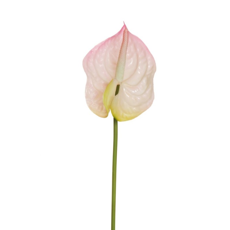 Lot de 24 - Anthurium artificiel, 69 cm - rose clair 