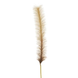 Lot de 12 - Branche artificielle de pampa, 180 cm - marron clair crème 