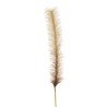 Lot de 12 - Branche artificielle de pampa, 180 cm - marron clair crème 
