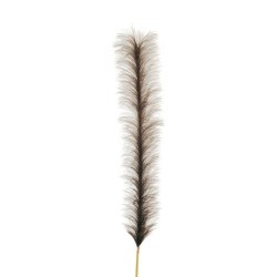 Lot de 12 - Branche artificielle de pampa, 180 cm - marron 