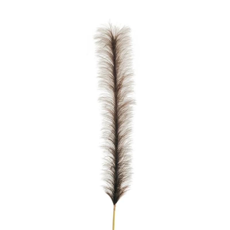 Lot de 12 - Branche artificielle de pampa, 180 cm - marron 