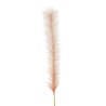 Lot de 12 - Branche artificielle de pampa, 180 cm - saumon rose clair 