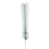 Lot de 12 - Branche artificielle de pampa, 180 cm - bleu 