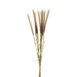 Lot de 12 - Bouquet artificiel de pampa X10, 82 cm - marron clair crème 