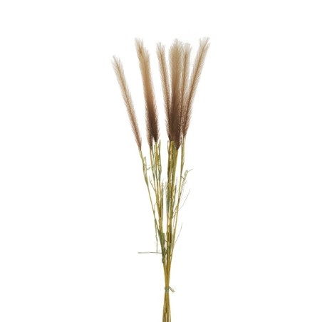 Lot de 12 - Bouquet artificiel de pampa X10, 82 cm - marron clair crème 