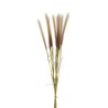 Lot de 12 - Bouquet artificiel de pampa X10, 82 cm - marron clair crème 