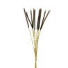 Lot de 12 - Bouquet artificiel de pampa X10, 82 cm - marron 
