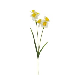 Lot de 24 - Tige artificielle de jonquille X2, 64 cm - crème jaune 