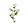 Lot de 12 - Tige artificielle d'astrantia X4, 76 cm - blanc 