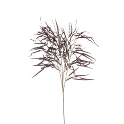 Lot de 12 - Tige artificielle de grevillea X4, 110 cm - violet 