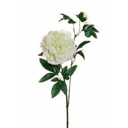 Lot de 12 - Tige artificielle de pivoine X2, 69 cm - blanc 